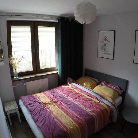 דירות אוסטריצקי דולנה Apartament Bieszczady מראה חיצוני תמונה