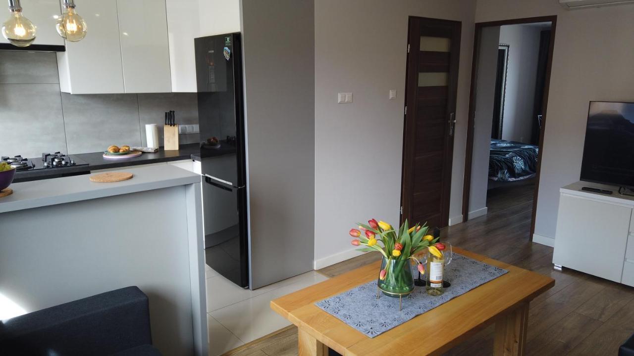 דירות אוסטריצקי דולנה Apartament Bieszczady מראה חיצוני תמונה