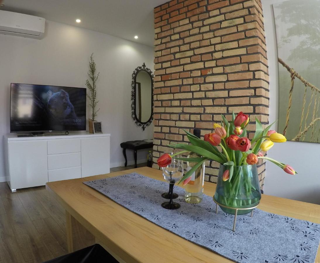 דירות אוסטריצקי דולנה Apartament Bieszczady מראה חיצוני תמונה
