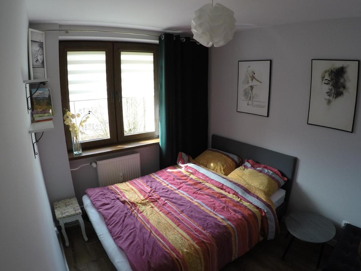 דירות אוסטריצקי דולנה Apartament Bieszczady מראה חיצוני תמונה