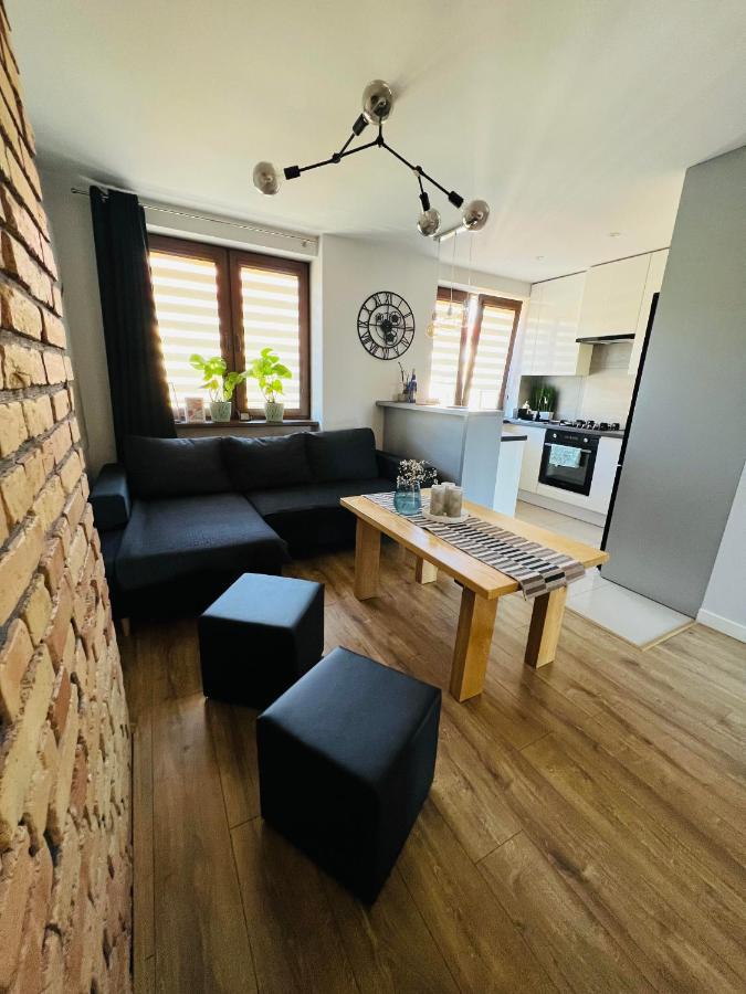 דירות אוסטריצקי דולנה Apartament Bieszczady מראה חיצוני תמונה